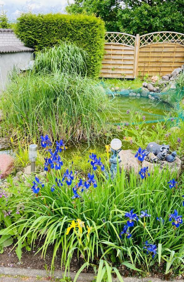 Ferienhaus Bei Engel Ahrensbok ภายนอก รูปภาพ